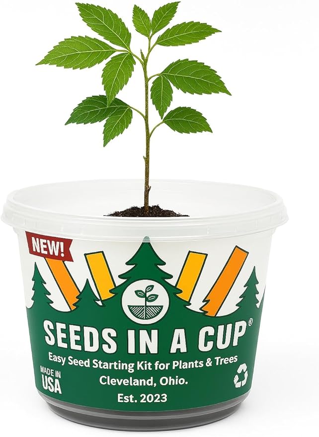 Seeds In A Cup - Plant Growing Kit-: Vegetable and Herb Growing Kit (Celery)