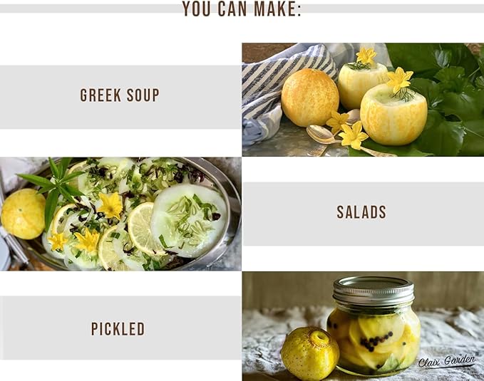 Lemon Cucumber Seeds - 100 Heirloom, Non-GMO Seeds, Excellent for Any Home Garden, Simple to Grow, Delicious Flavor, Quick Grow Cycle