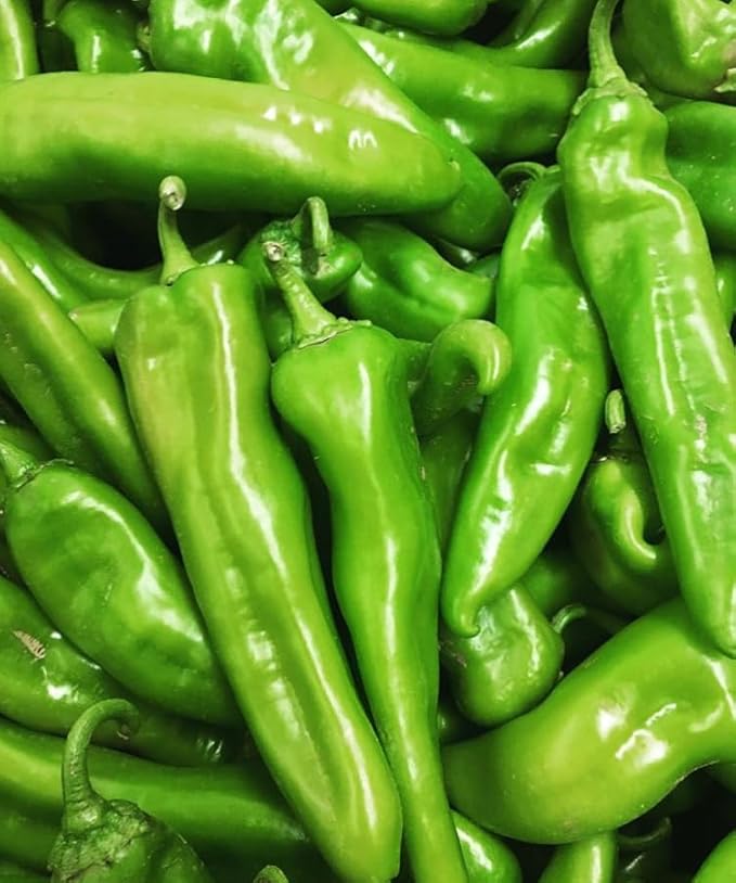 Hatch Green Medium Big Jim Chile Seeds from New Mexico - 30 Non-GMO Seeds