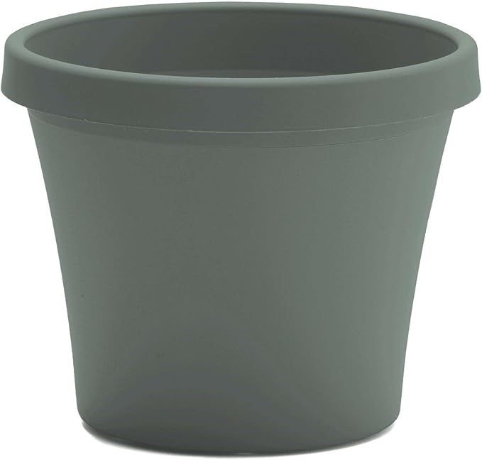 Bloem Terra 10" Diameter Round Basil Resin Planter Pot with Drainage Holes for Indoor and Outdoor Gardening
