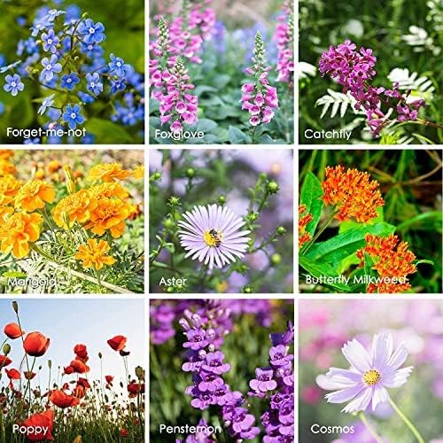 Pollinator Wildflower Seeds Bulk - 25 Lb ~16,000,000 Bulk Wildflower Seeds - Hummingbird & Butterfly Flower Seeds - 23 Varieties of Pure Non-GMO Bulk Flower Seeds for Planting - Perennial & Annual
