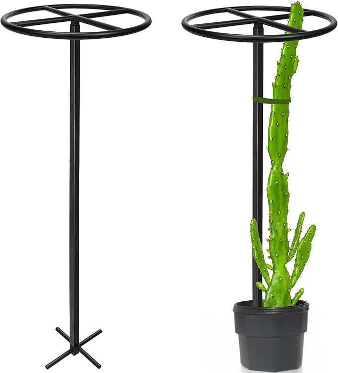 1 Pcs Heavy Duty Dragon Fruit Trellis, 12"x12"x50" Adjustable Metal Dragon Plant Support Stand, Durable Vertical Trellis for Climbing Plants, No-Hammer Assembly for Outdoor Garden (Round)