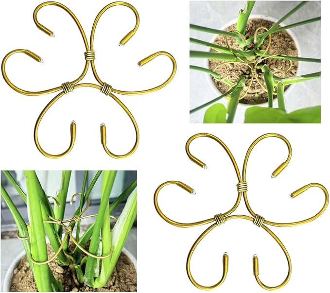 2PCS 7" Plant Stem Support,Stabilizer Grapple Holder for Monstera and Climbing Plants,Reusable Flower Plant Support,Leaf Stabilization and Support for Thriving Growth.
