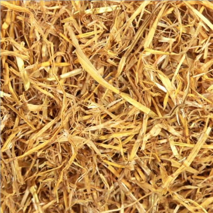 Premium Quality 4 Pound Garden Straw Natural Weed Control and Soil Insulation for Healthy Plants or Animal Bedding