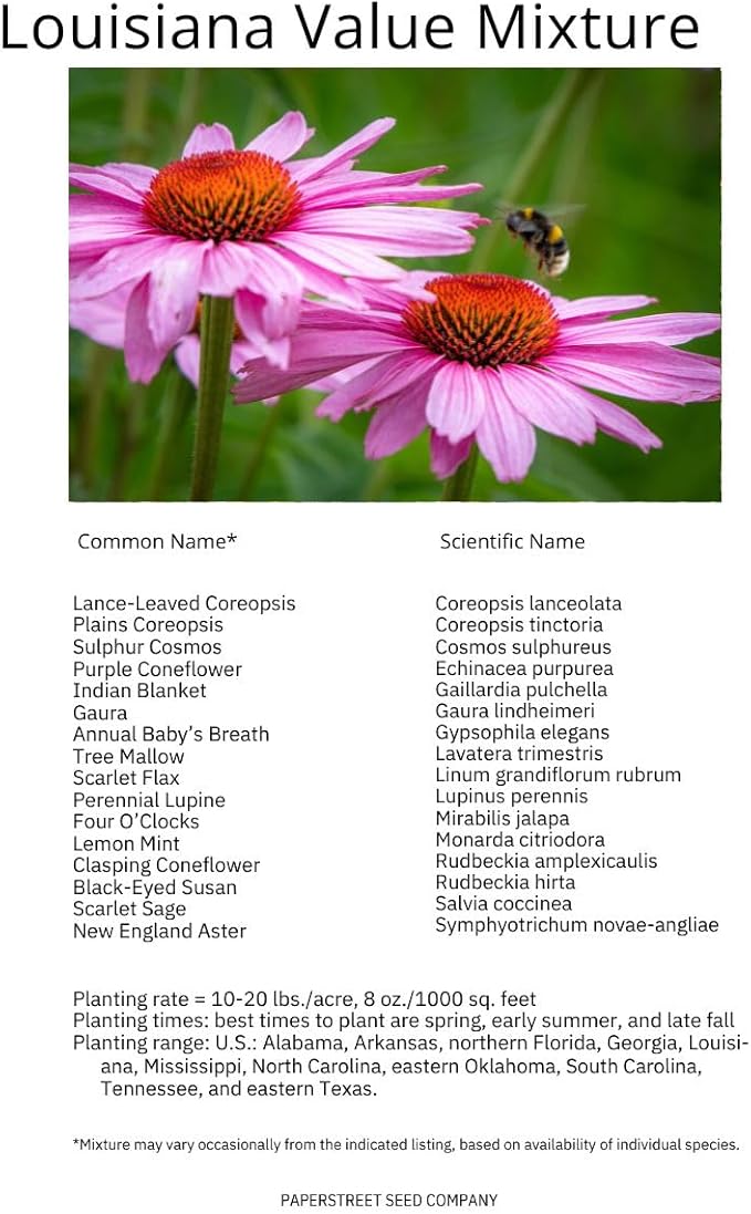 Louisiana Bulk Perennial Wildflower Seed Mix 1lb Covers 2,000sq-ft - Attract Pollinators, Multi-Color Blooms - Southeast US Species Plant in Spring/Fall, Earth-Friendly Packaging (1 Pound)