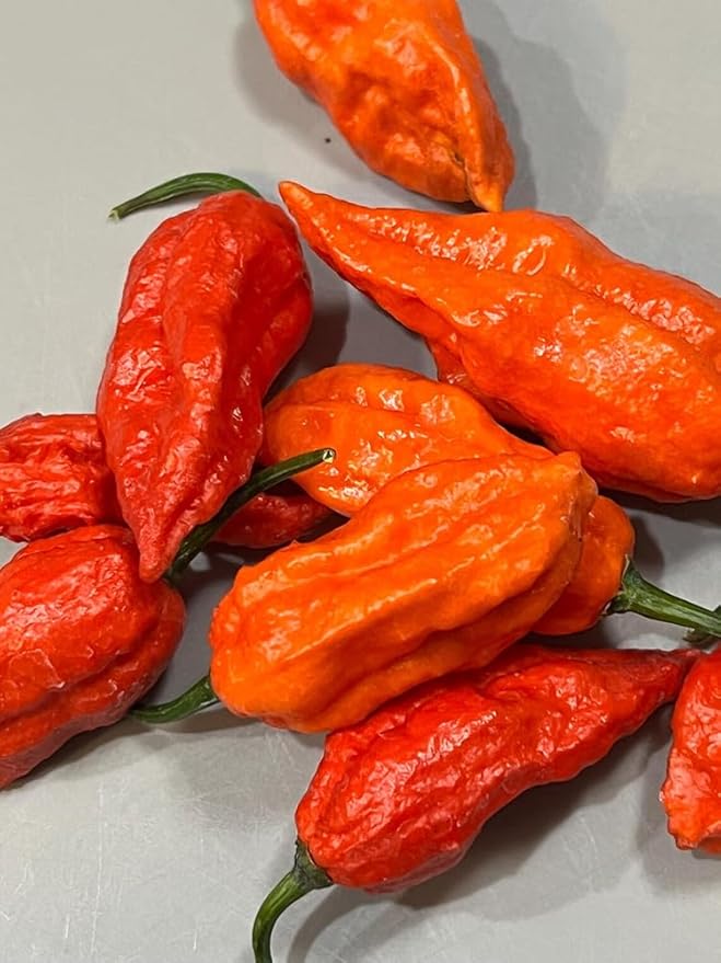 30+ Ghost Pepper Seeds Bhut Jolokia Extremely Hot Pepper Chili Genuine USA Non-GMO Garden Planting