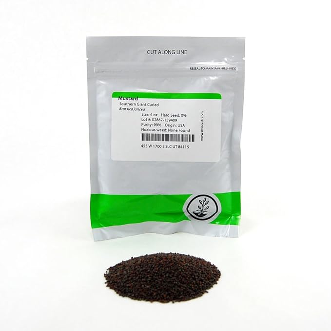 Southern Giant Curled Mustard Seeds: 4 Oz - Non-GMO Seeds for Herb Gardening, Growing Microgreens, Vegetable Garden