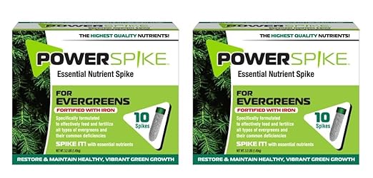 Power Spike for EVERGREENS, Fertilizer Spike. Essential Nutrient Spike Fortified with Iron to Feed All Types of evergreens and Address Common Deficiencies (20 Spikes - 6.4 lbs) (20)