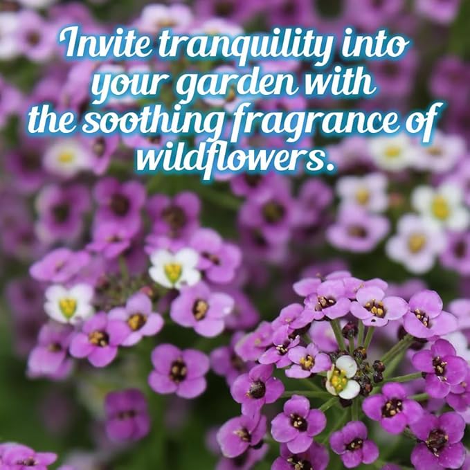Fragrant Wildflower Seeds Mix - 1oz, Aromatic Annual and Perennial Wildflower Seeds – Create The Perfect Garden.