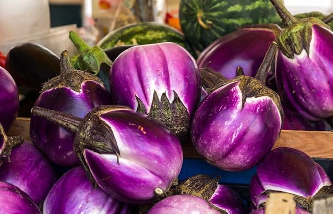 Seeds Eggplant Aubergine Round Mix Heirloom Vegetable for Planting Non GMO