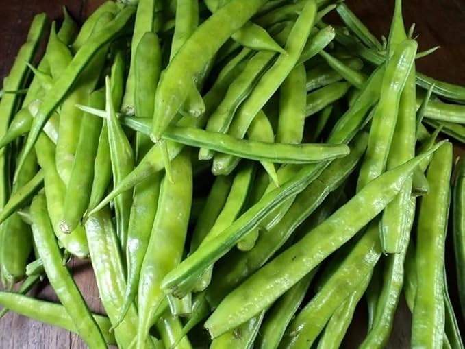 100+ Pcs Indian Cluster Bean Seeds, Non-GMO Vegetable Seeds for Planting, High Germination Guar Seeds for Home Garden, Backyard, Outdoor Grow Bags or Pots