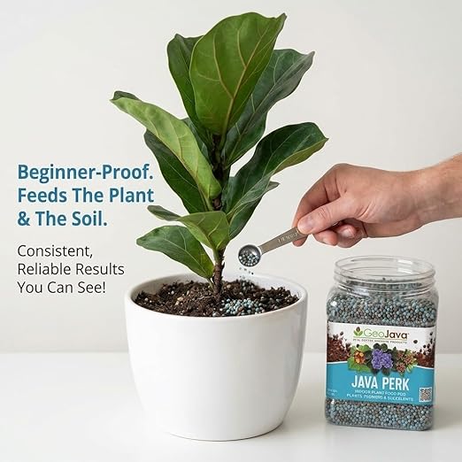 Java Perk Indoor Plant Food: A Slow‑Release Fertilizer with Complete NPK & Micro-Nutrients with Real Coffee for Houseplants, Indoor Herbs & Container Gardens - Odorless, Easy & Long‑Lasting (2 lb)