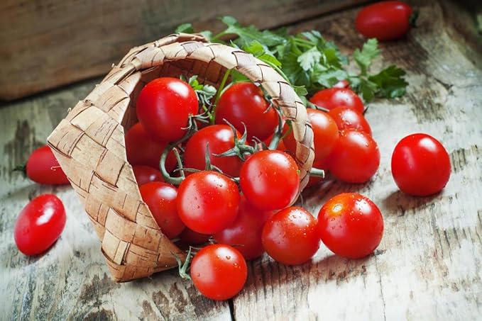 Tomato 'Red Cherry' Seeds – Indeterminate Annual Vegetable (Solanum lycopersicum) | 55–65 Days, Open-Pollinated, Sweet & Juicy Cherry Tomatoes