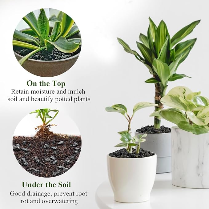 2 lbs Small Black Lava Rocks for Plants,1/4 Inch Crush Volcanic Rock Pumice Soil Additive for Succulent Aquarium Cactus Bonsai Fire Pits and Garden Landscaping
