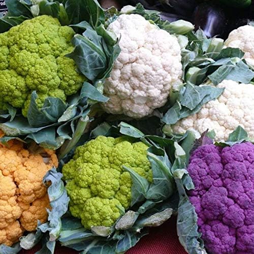 Seeds Vegetable Cauliflower Cabbage Mix - 200 Seeds