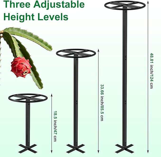 Adjustable Dragon Fruit Trellis, Heavy Duty Metal Plant Support Frame for Climbing Plants, Cactus, Roses & Vines, Rust Proof Durable Vertical Garden Support for Indoor & Outdoor Potted Plants