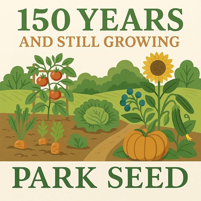 Park Seed Profusion Lemon Zinnia Seeds - Pack of 100 Seeds, Radiant Yellow 2-Inch Blooms, Heat and Mildew Resistant, Perfect for Containers and Mass Plantings, Attracts Butterflies