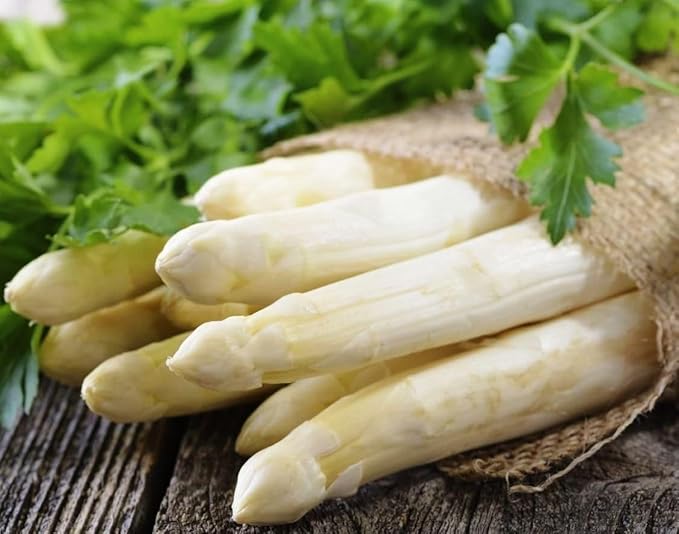 Seeds White Asparagus Sparrow Grass Heirloom Giant Vegetable for Planting Non GMO