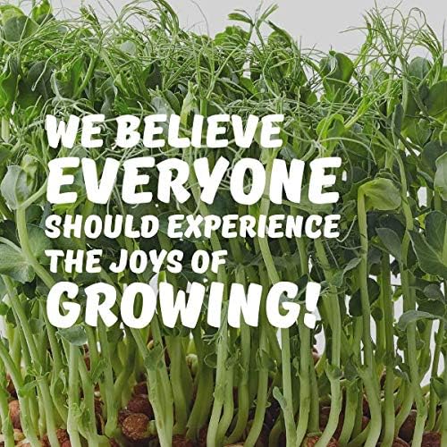 Tendril Pea Microgreens Seeds - 4 Oz ~360 Seeds - Non-GMO Peas Sprouting Seed for Vegetable Gardening, Cover Crop, Microgreen Pea Shoots