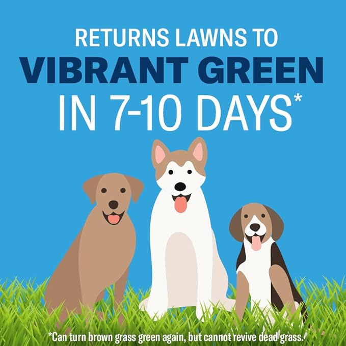 BioAdvanced Dog Spot Lawn Repair, Ready-to-Spray, 32Oz, 4,000 Sq Ft
