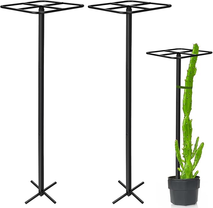2 Pcs Heavy Duty Dragon Fruit Trellis 12"x12"x50", Adjustable Metal Dragon Plant Support Stand, Durable Vertical Trellis for Climbing Plants, No-Hammer Assembly for Outdoor Garden(Square)