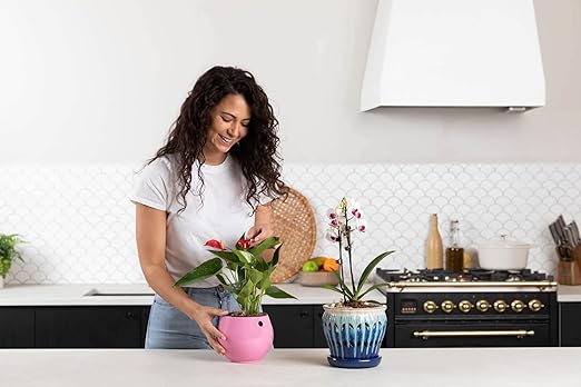 rePotme Indoor Plant Food | Feed ME! Houseplant Time Release Fertilizer (18-6-8) | Feeds Your Plants Automatically