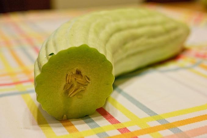 Seeds Armenian Cucumber - Open-Pollinated - Heirloom Vegetable - GMO Free