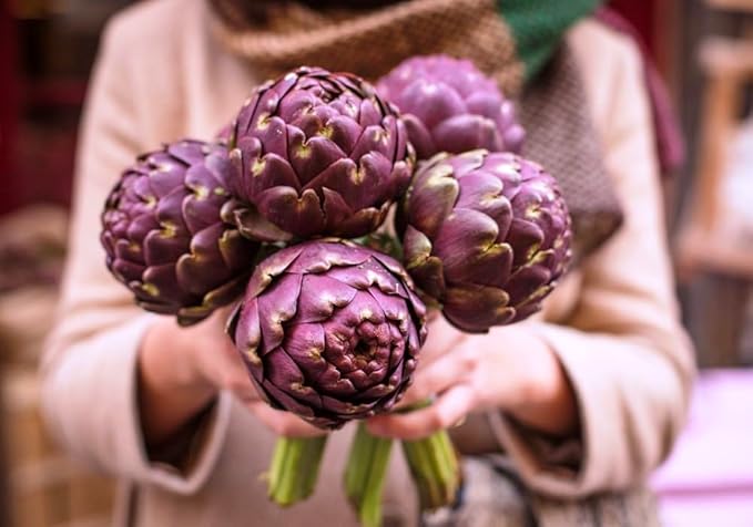 Purple Artichoke Seeds – Heirloom Globe Artichoke (Cynara Scolymus) | Nutritious & Flavorful | Perennial Vegetable