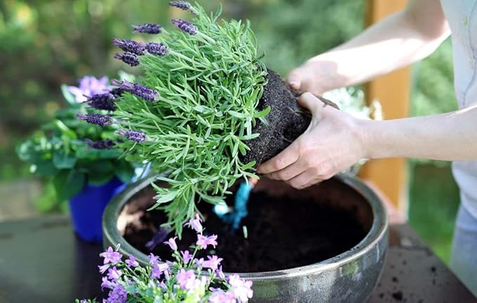 Gardenera Moisture Control Potting Mix - Perfect for Indoor and Outdoor Container Gardening! - 4 Quart