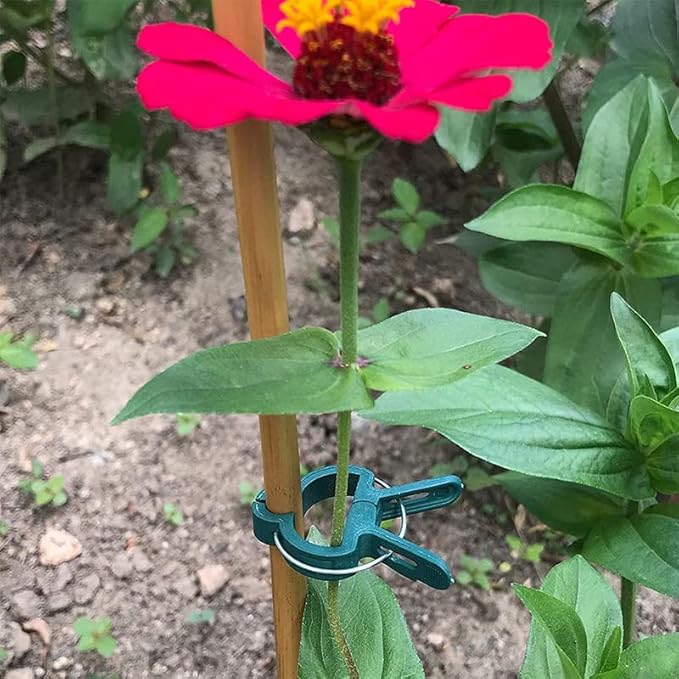 60PCS Garden Plant Supports Clips, 2 Sizes Adjusting Reusable Plant Clips for Supporting Stems of Flower Vine Vegetables Tomatoes Climbing