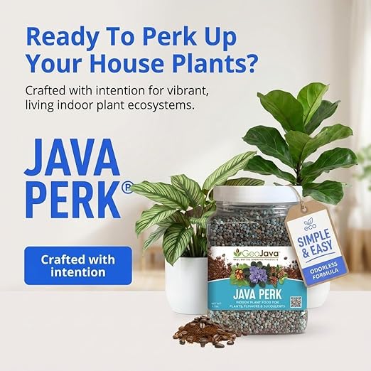 Java Perk Indoor Plant Food: A Slow‑Release Fertilizer with Complete NPK & Micro-Nutrients with Real Coffee for Houseplants, Indoor Herbs & Container Gardens - Odorless, Easy & Long‑Lasting (2 lb)