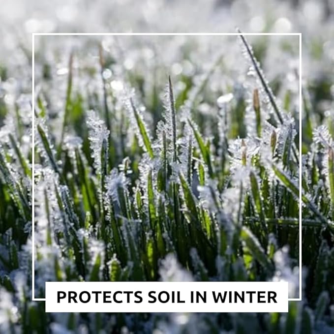 5 lbs No-Till Winter Rye Cover Crop Seeds – Non-GMO Rye Grass Seed for Soil Improvement, Erosion Control & Weed Suppression – Hardy Winter Rye for Deer, Turkey & Wildlife Food Plots