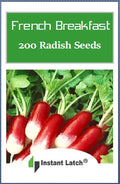 200 French Breakfast Radish Seeds Non GMO Radish Seed for Planting Heirloom Garden Seed Packet