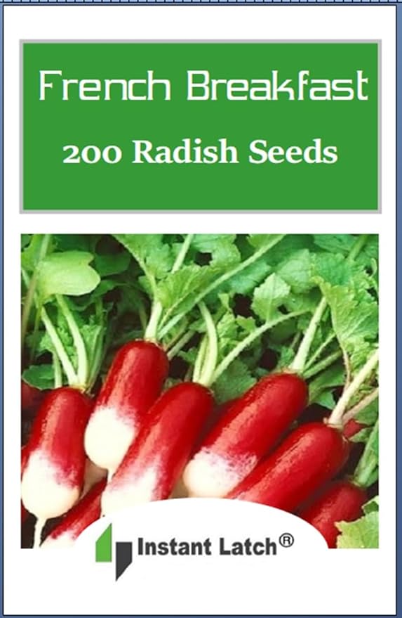 200 French Breakfast Radish Seeds Non GMO Radish Seed for Planting Heirloom Garden Seed Packet