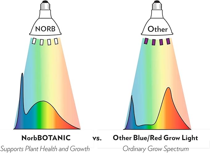Norb NorbBOTANIC Full Spectrum Grow Light Bulb, Premium PAR38 LED Plant Light, 16W White Light for Indoor Plants, Herbs, Tropical Plants, 15 Degree