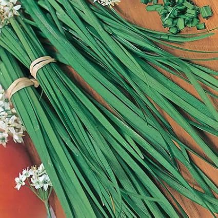 Chives Great Herb Heirloom Vegetable Seeds by Seed Kingdom (1/4 Lb Seeds)