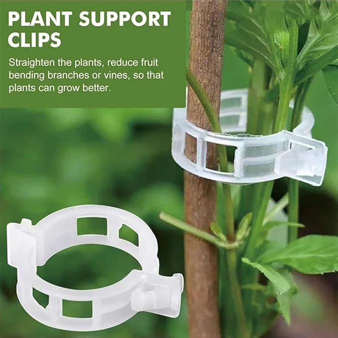 Plant Support Clips 50 PCS Reusable Tomato Clips Plastic Trellis Clips Garden Clips Secured Plastic Plant Clip for Climbing Plants Tomato Grape Vine Vegetables Plant Fixing Clips, 1.18" Inner Diameter