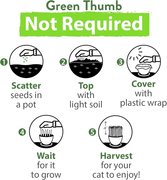 HOME GROWN 2,160+ Cat Plant Seeds Mix – Non GMO Heirloom Catnip, Lemongrass, Licorice, Thyme & Valerian – Pet-Friendly Indoor Garden Refill Kit for Cats & Kittens