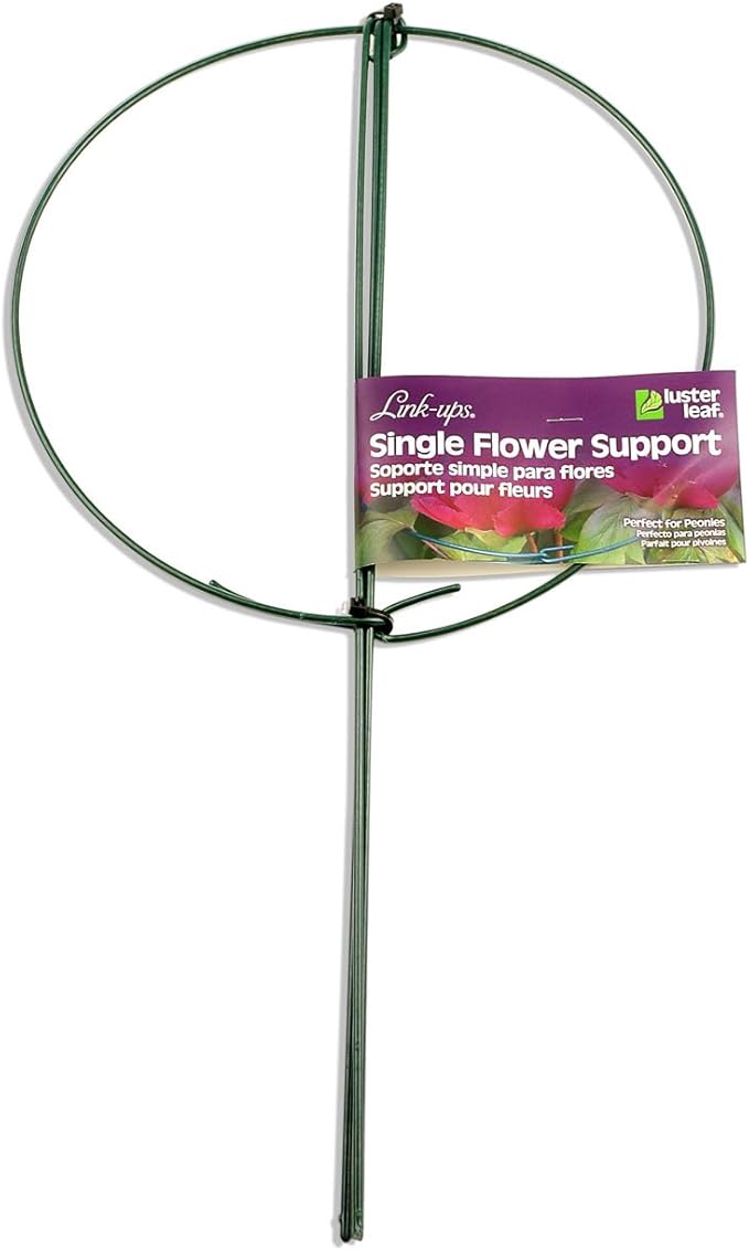 Luster Leaf 977 Medium Single Peony Flower Support