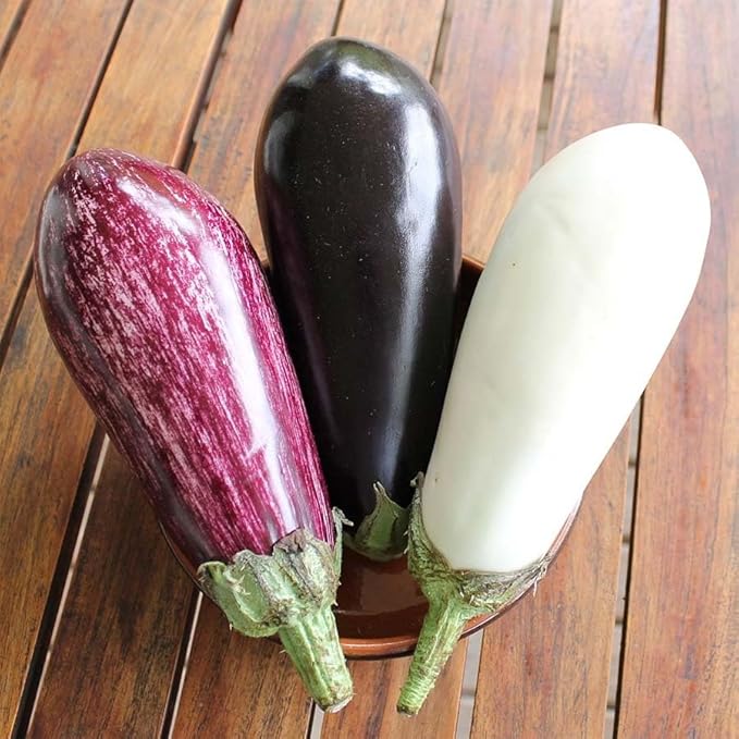 Seeds Eggplant Long Mix- Heirloom Vegetable - GMO Free