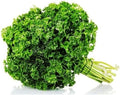 Forest Green Parsley Seeds - 100 Count Seed Pack - Non-GMO - Leaves are Deeply and Closely Curled. Flavor is Better Than Most Curled Varieties. Use for garnishes and Flavoring. - Country Creek LLC