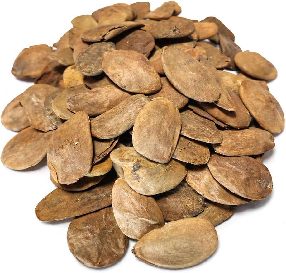 Abere Seeds (Hunteria Umbellata) – 100% Natural Handpicked African Herbal Product – Traditional Use – Ideal for Teas & Decoctions – Premium Quality – 20 Pieces