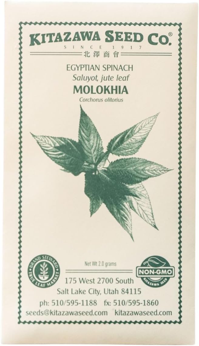 Kitazawa Seed Company Egyptian Spinach Seeds - Molokhia, Jew's Mallow, Jute Mallow, Corchorus olitorius - 2 g Packet ~1,000 Seeds - Non-GMO, Heirloom - Heirloom Asian Garden Seeds for Planting