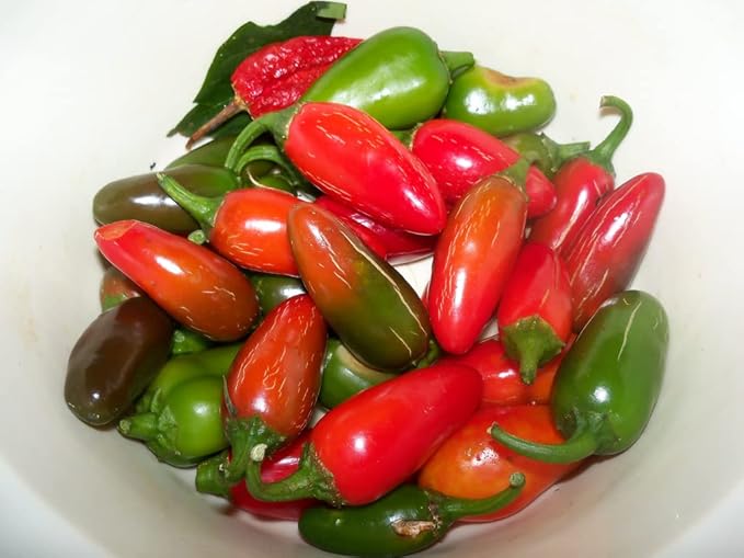Seeds Jalapeno Chili Pepper - Hot - Heirloom Vegetable - GMO Free