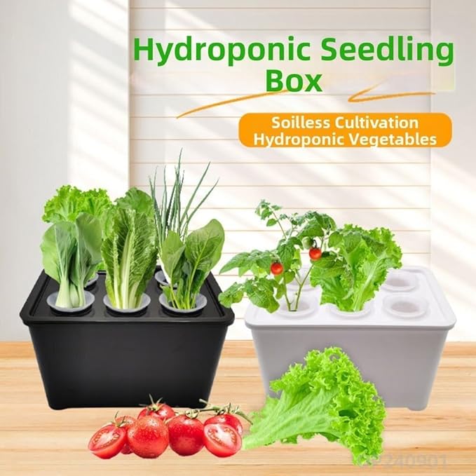 Hydroponics Growing Box 6-Holes Cultivation System Designed for Indoor Use with Multi-Set Package Supporting Efficient Root Development and Crop Growth