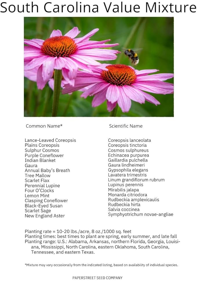 South Carolina Bulk Perennial Wildflower Seed Mix 1lb Covers 2,000sq-ft - Attract Pollinators, Multi-Color Blooms - Southeast US Species Plant in Spring/Fall, Earth-Friendly Packaging (1/4 Pound)