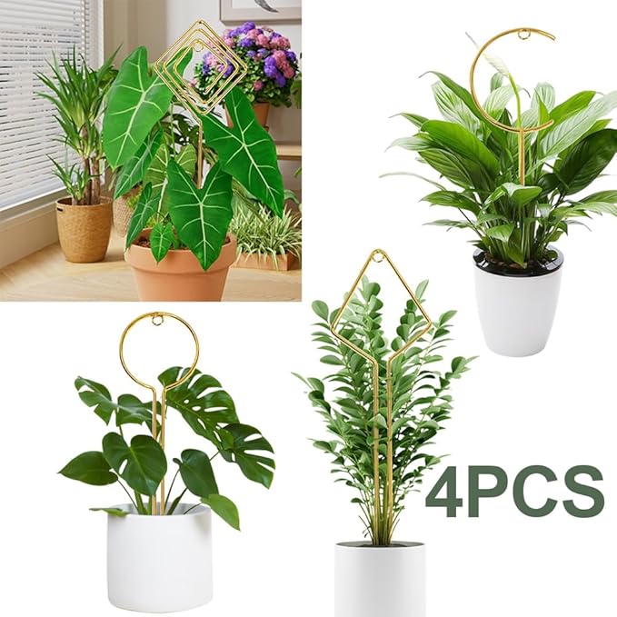 Plant Trellis Indoor - 4 Pack Small Hoop Trellis Mini for Climbing Plants Indoor, 15.7 Inch Indoor Plant Trellis with Different Patterns, Vine Plant Support for Flower Pothos (Gold)