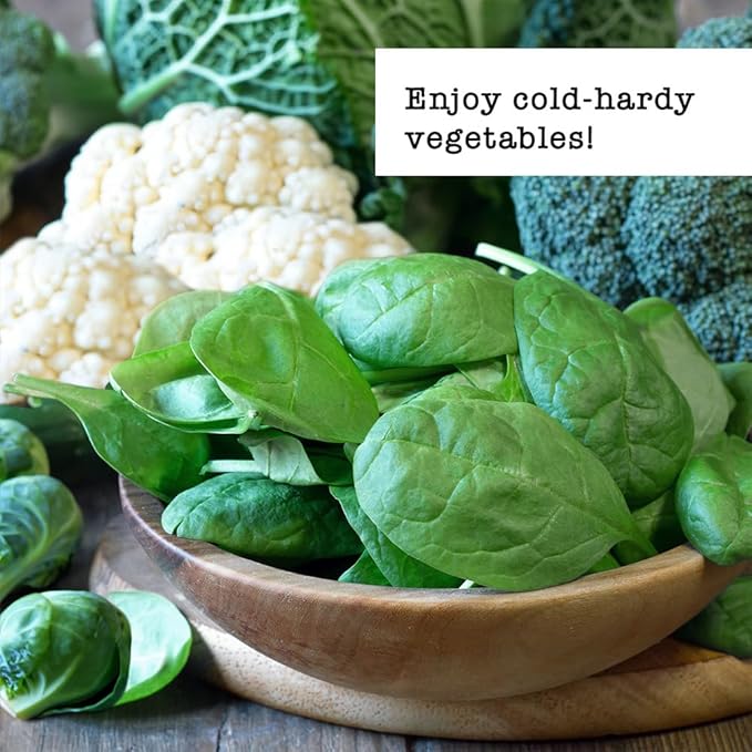 Ferry-Morse Cold Hardy Vegetable Seed Variety Pack - 7 Pack