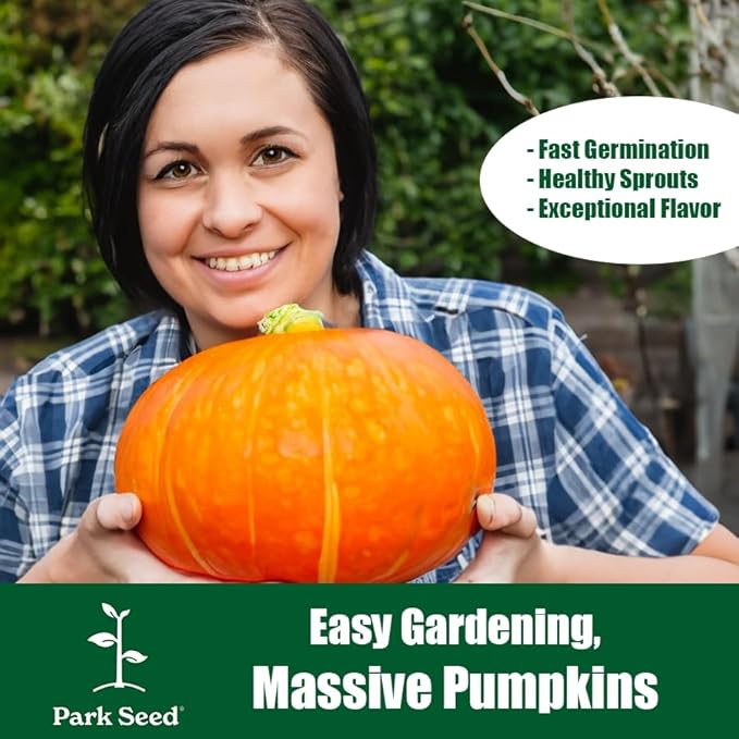 Park Seed Dill's Atlantic Giant Pumpkin Seeds – Non-GMO, World Record Giant Pumpkin Variety, Grows Up to 500 lbs or More, Heirloom for Competition or Display, Pack of 10
