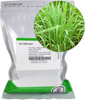 Lemon Grass Seeds - 0.25 Oz - Non-GMO, Heirloom Culinary Herb Garden Seeds - Cymbopogon flexuosus